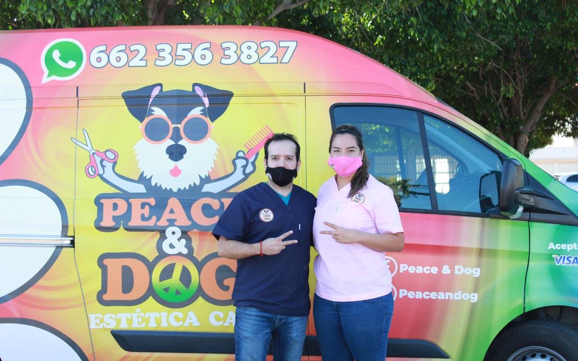 Yared rodriguez adapta una camioneta estética canina a domicilio Peace & Dog hermosillo telefono historias - El Sol de | Noticias Locales, Policiacas, sobre México, Sonora y el Mundo