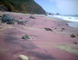 Playa Pfeiffer Beach, Big Sur, California, Estados Unidos. Es una playa color púrpura por la gran cantidad de manganeso / Foto Cortesía Insolit Viatges
